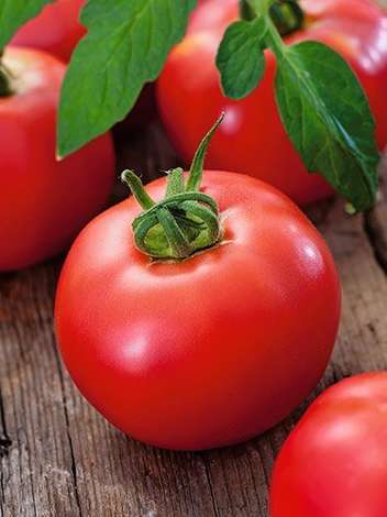 Nasiona Pomidor Gruntowy Malinowy Ożarowski